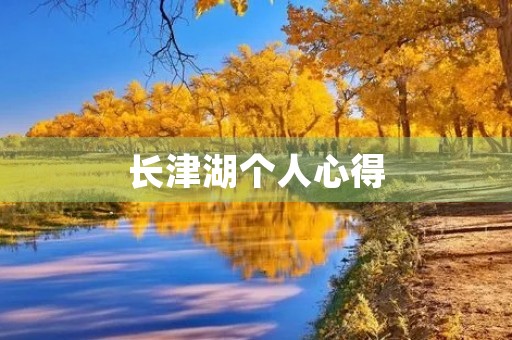 长津湖个人心得