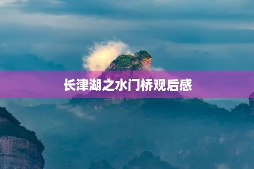 长津湖之水门桥观后感