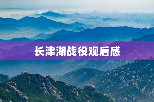 长津湖战役观后感 长津湖战役观后感