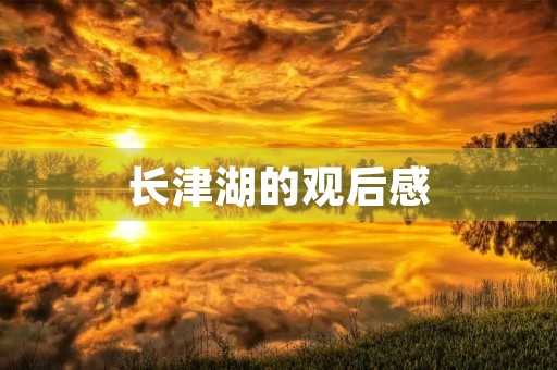 长津湖的观后感