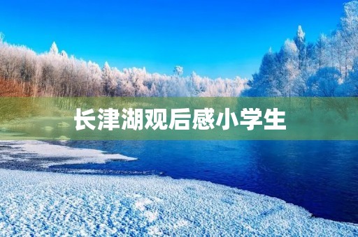 长津湖观后感小学生