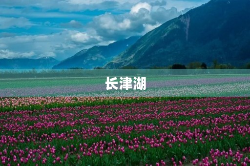 长津湖，让我们铭记的历史