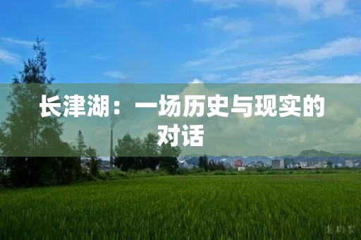 长津湖：一场历史与现实的对话