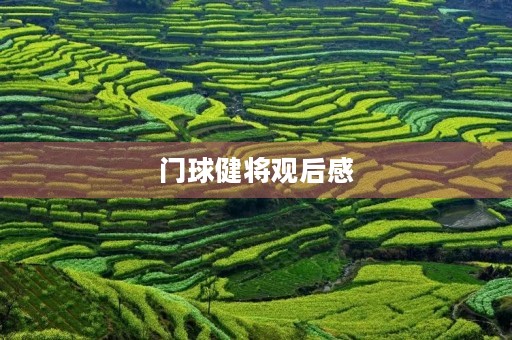 门球健将观后感