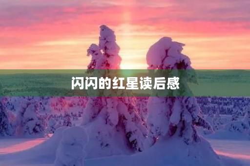 闪闪的红星读后感