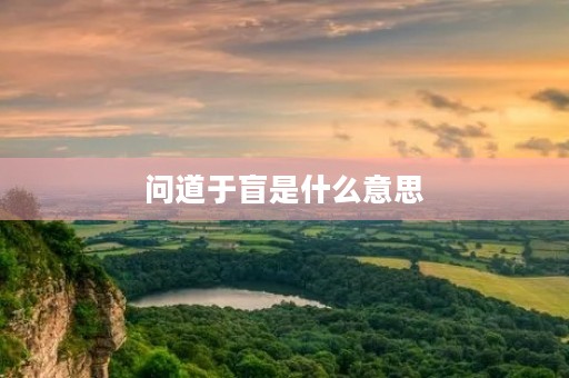 问道于盲是什么意思 问道于盲是什么意思