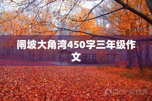 闸坡大角湾450字三年级作文