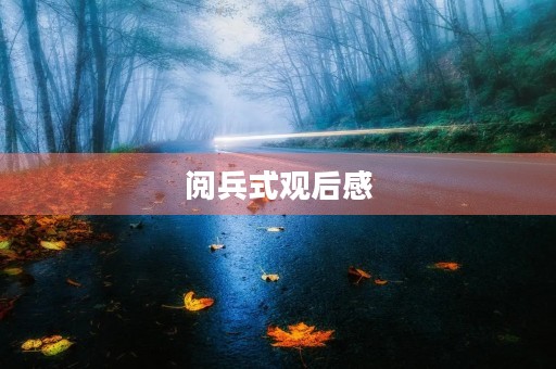 阅兵式观后感