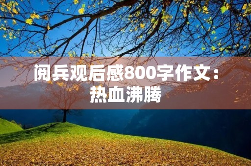 阅兵观后感800字作文：热血沸腾，国家强大