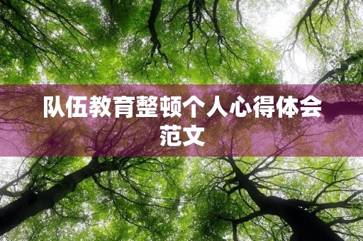 队伍教育整顿个人心得体会范文