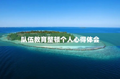 队伍教育整顿个人心得体会