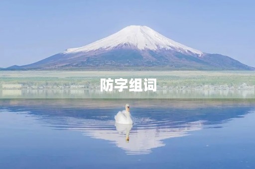 防字组词(防的组词) 防字组词(防的组词)