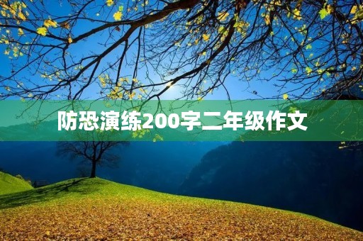 防恐演练200字二年级作文