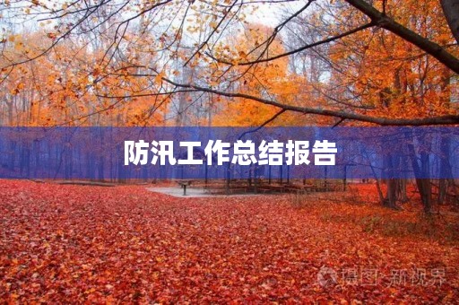防汛工作总结报告