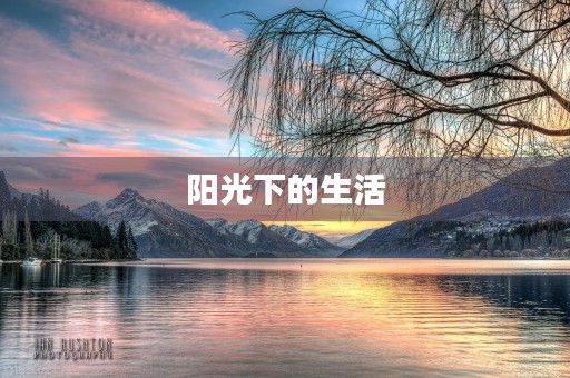 阳光下的生活