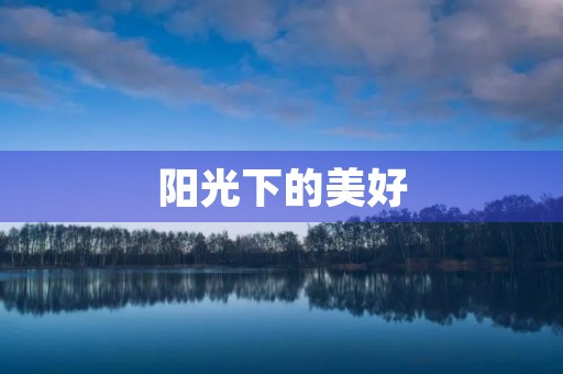 阳光下的美好