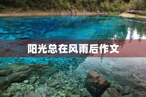 阳光总在风雨后作文 阳光总在风雨后作文