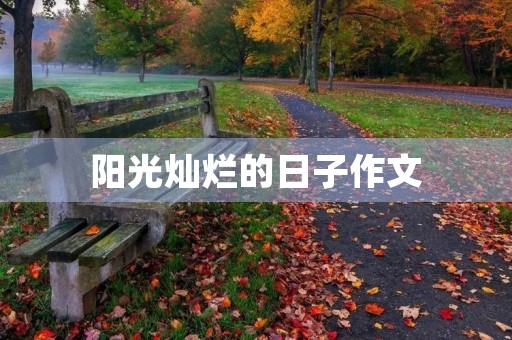 阳光灿烂的日子作文 阳光灿烂的日子作文