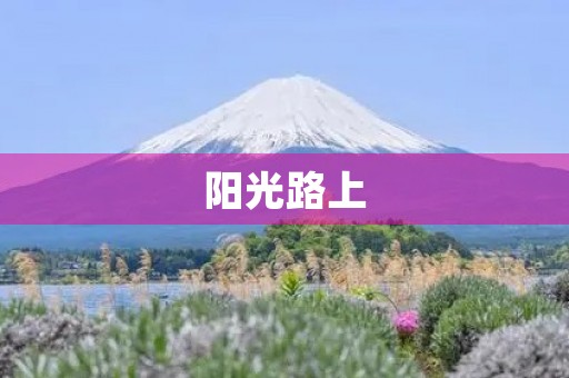阳光路上,我与自然同行 阳光路上,我与自然同行