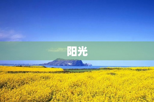阳光，温暖人心的力量