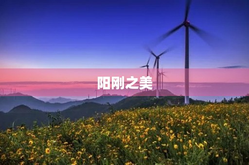 阳刚之美 阳刚之美