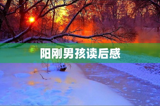 阳刚男孩读后感