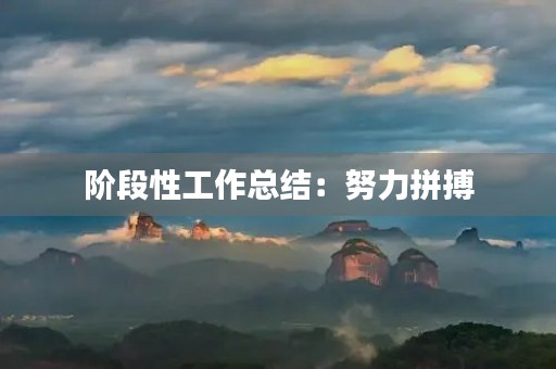 阶段性工作总结：努力拼搏，迎接新挑战