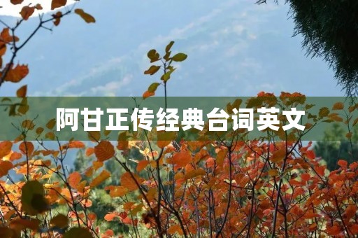 阿甘正传经典台词英文(阿甘正传经典台词英文原句)