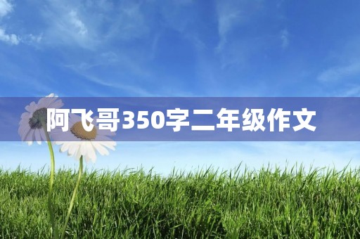 阿飞哥350字二年级作文