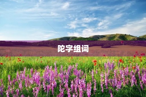 陀字组词(陀组词) 陀字组词(陀组词)