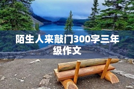 陌生人来敲门300字三年级作文