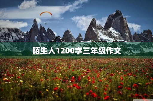 陌生人1200字三年级作文