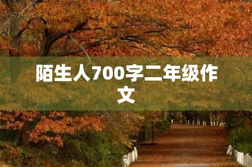 陌生人700字二年级作文