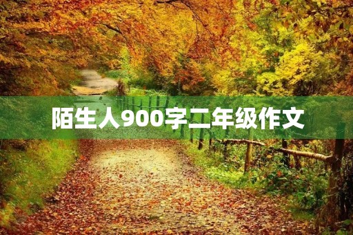 陌生人900字二年级作文