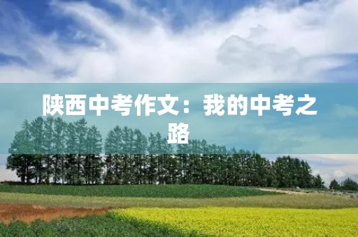陕西中考作文：我的中考之路