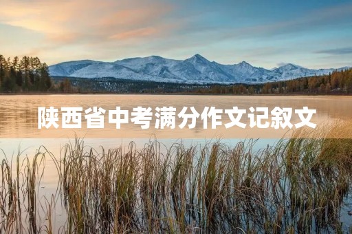陕西省中考满分作文记叙文
