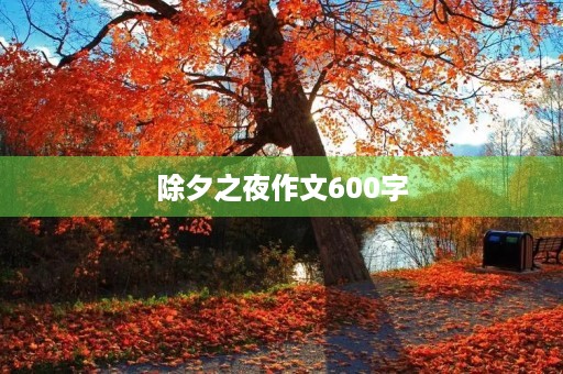除夕之夜作文600字 除夕之夜作文600字