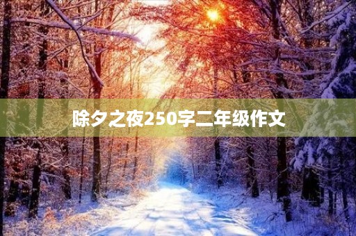 除夕之夜250字二年级作文
