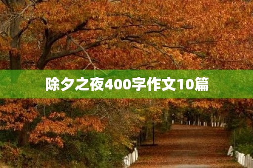 除夕之夜400字作文10篇