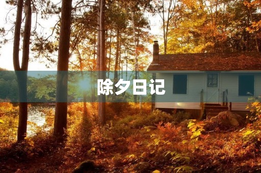 除夕日记 除夕日记