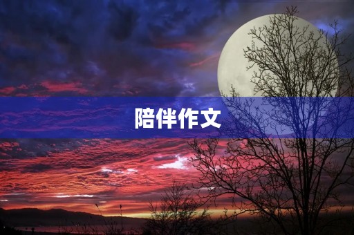 陪伴作文