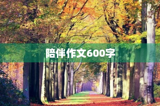 陪伴作文600字