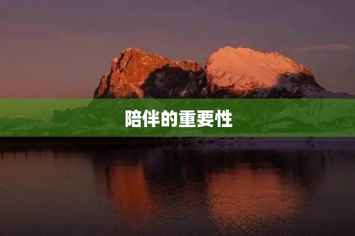 陪伴的重要性