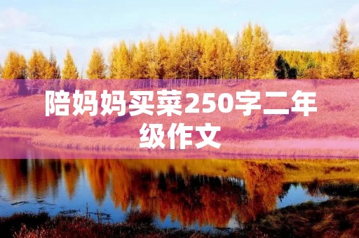 陪妈妈买菜250字二年级作文