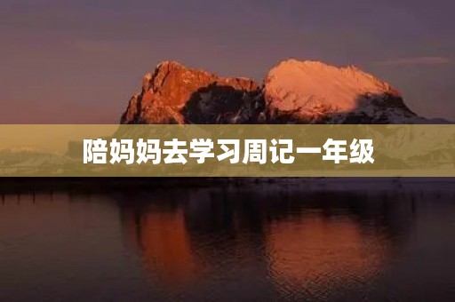 陪妈妈去学习周记一年级