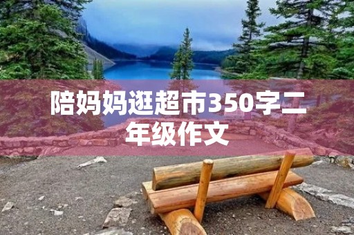陪妈妈逛超市350字二年级作文