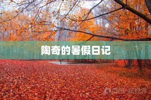 陶奇的暑假日记