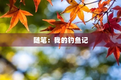 随笔：我的钓鱼记