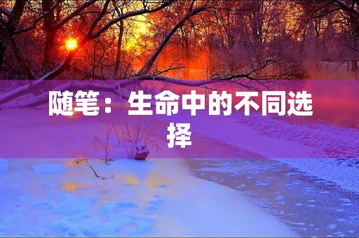 随笔：生命中的不同选择
