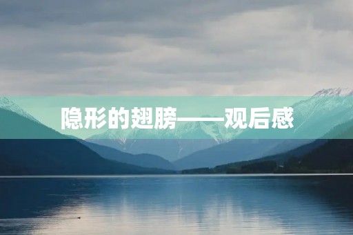 隐形的翅膀——观后感